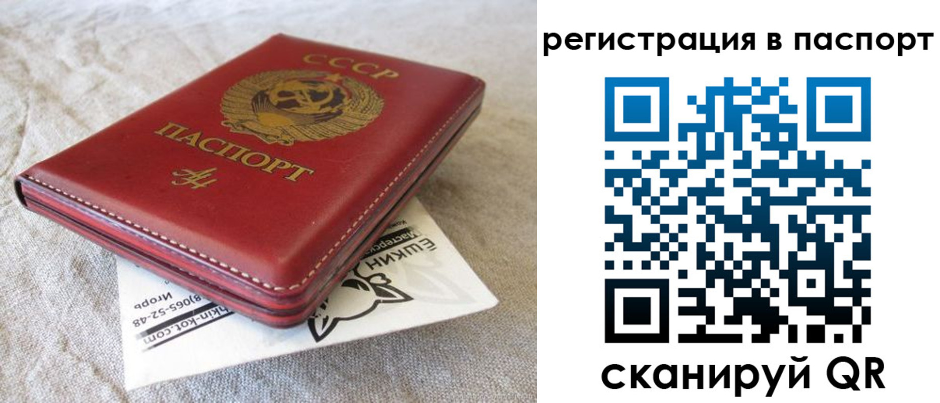 где прописаться в Назрани